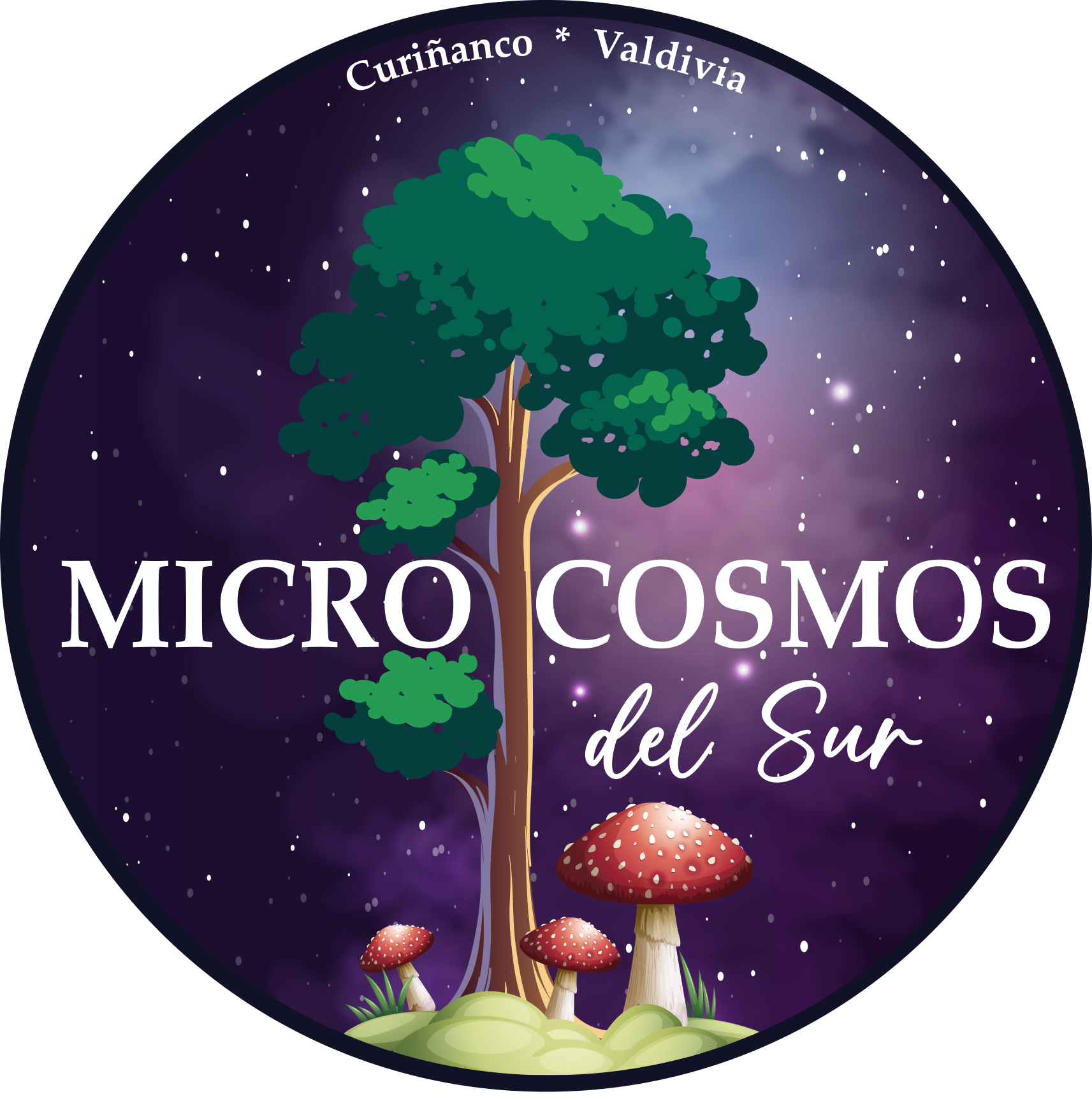 Microcosmos del Sur